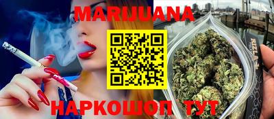 прущие грибы Будённовск