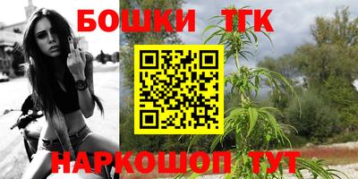 прущие грибы Будённовск