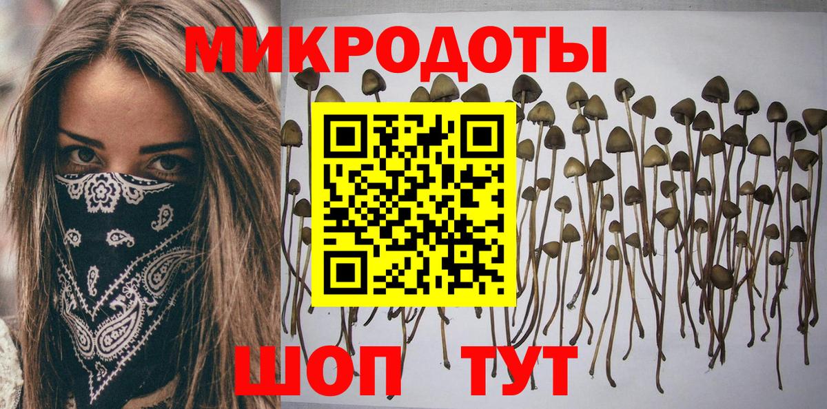 Галлюциногенные грибы Magic Shrooms  Вход с VPN  Псилоцибиновые грибы прущие грибы  Сунжа 