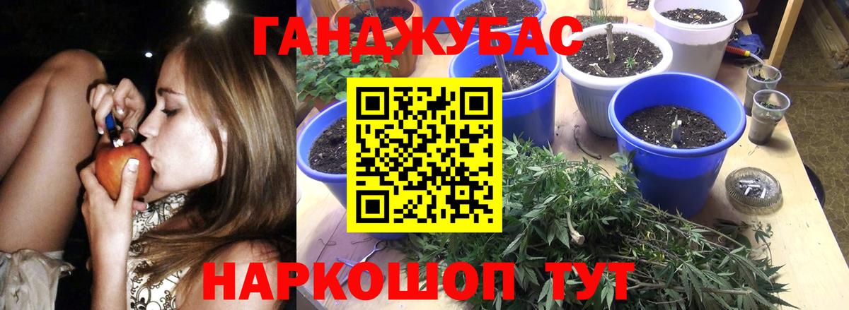 Бошки марихуана тримм  Вход с VPN  Марихуана LSD WEED  Канабис LSD WEED  Сунжа  Конопля тримм 